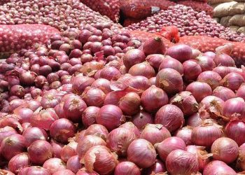 भारतले प्याज निर्यात रोक्यो, नेपालमा ह्वात्तै बढ्यो मूल्य