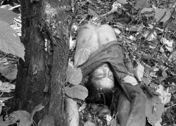रौतहटमा बाघको आक्रमण बाट १ जनाको मृत्यु २ घाईते