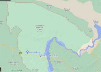 धनुषा : बाख्रा चराउन गएकी १५ वर्षीया बालिका बलात्कृत