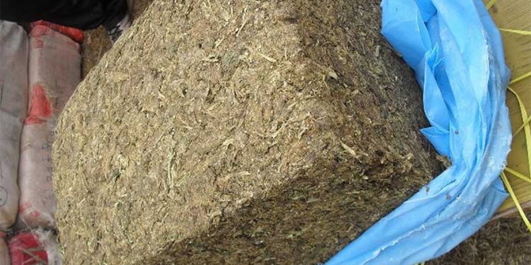 सर्लाहीबाट ३०९ किलो गाँजा बरामद