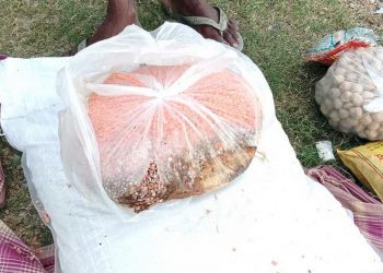 सिरहा : प्रदेशले पठाएको राहत गोदाममा कुहिँदै, गरिब भोकै