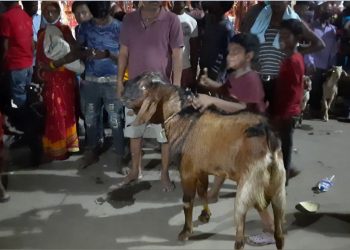 जनकपुरको राजदेवी मन्दिरमा यसवर्ष ८ हजार ८ सय ६६ बलि प्रदान