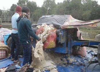 महोत्तरीः कपास बनाउने मेसिनमा हात च्यापिएर एक किशोरको मृत्यु