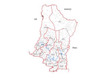 अज्ञात समूहद्धारा धारिलो हतियार प्रयोग गरी हत्या