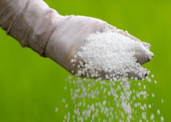 यो वर्ष पनि मलको चर्को अभाव हुने