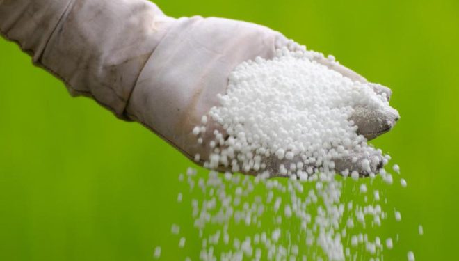 यो वर्ष पनि मलको चर्को अभाव हुने