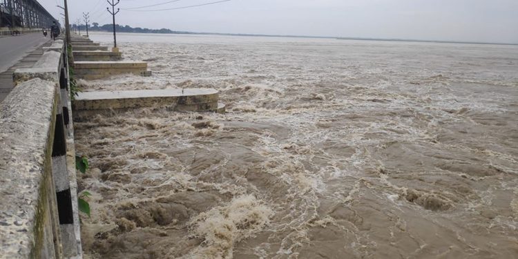 बाढी बढेपछि कोशी ब्यारेजको १२ ढोका खुला
