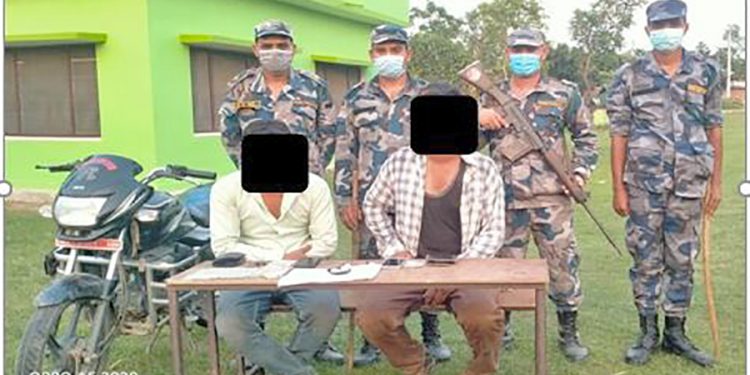 लागुऔषधसहित कञ्चनपुरमा दुईजना पक्राउ