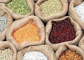 निषेधाज्ञा केही खुकुलो भएसँगै खाद्यान्नमा २० प्रतिशत छुट रोकियो