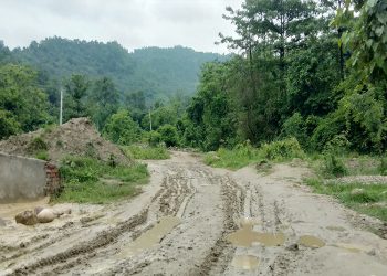 सर्लाहीका अधिकांश सडक बर्खा लागेसँगै अवरुद्ध