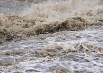 टाउकोसहित शरीरको आधा भाग नरहेको अवस्थामा एक जनाको शव बरामद