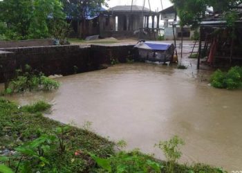 सप्तरीको चन्द्रनहर भत्किदा झण्डै पाच सय भन्दा बढि घर डुबानमा