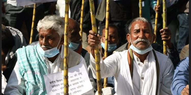 नक्कली बाबु छोरी बनी नागरिकता लिने दुईजना पक्राउ