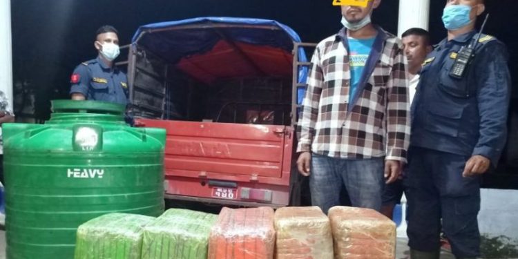 जनकपुरबाट एक क्वीन्टल गाँजासहित एकजना पक्राउ