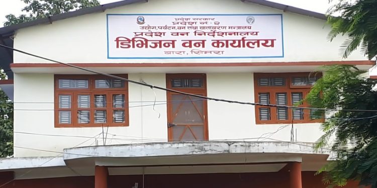 वन कार्यालयका तीन अधिकृतविरुद्ध भ्रष्टाचार मुद्दा दायर