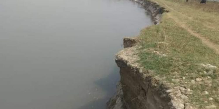 बलान नदीले सिरहातर्फ जग्गा कटान गर्न थाले, स्थानीय त्रसित
