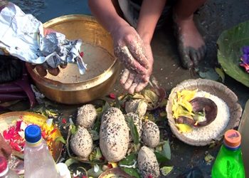 पवित्र कुश घर–घरमा भित्र्याएर कुशे औँसी पर्व मनाइदै