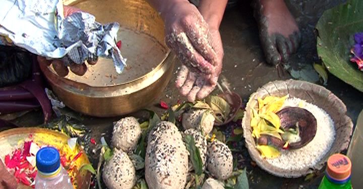 पवित्र कुश घर–घरमा भित्र्याएर कुशे औँसी पर्व मनाइदै