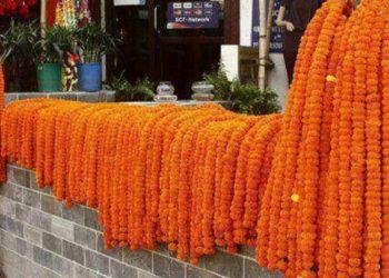 तिहारमा ५० हजारभन्दा बढी फूल माला आयात गरिने