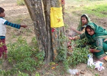 जनकपुरधामसहित मिथिलामा अक्षय नवमी मनाइँदै