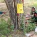 जनकपुरधामसहित मिथिलामा अक्षय नवमी मनाइँदै