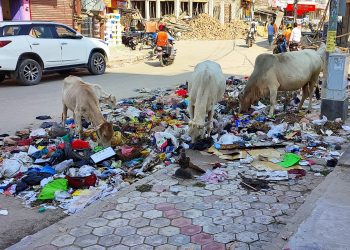 फोहरमय बन्दै जनकपुरधाम, जताततै फोहर र दुर्गन्ध