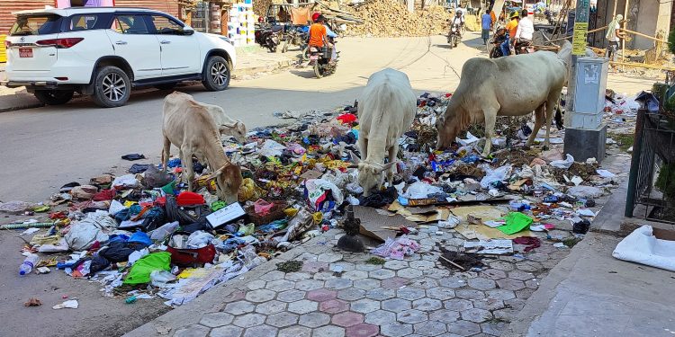 फोहरमय बन्दै जनकपुरधाम, जताततै फोहर र दुर्गन्ध