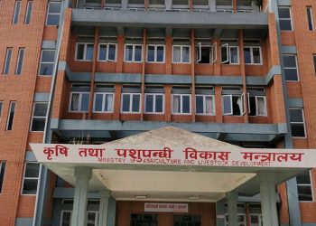दुधको मूल्य ह्वात्तै बढाउने तयारी, १४ रुपैयाँसम्म वृद्धिको प्रस्ताव