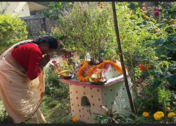 आज हरिवोधनी एकादशी : तुलसीको शालिग्रामसंग विवाह गरिदै