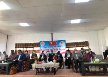 एमालेको केन्द्रीय कमिटी बैठक स्थगित
