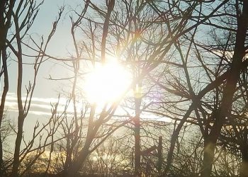 आजदेखि मौसममा सुधार आउने, तर वर्षा र हिमपातको सम्भावना कायमै