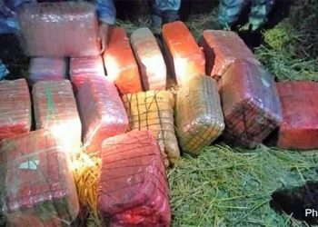 महोत्तरीबाट १६० केजी गाजा बरामद