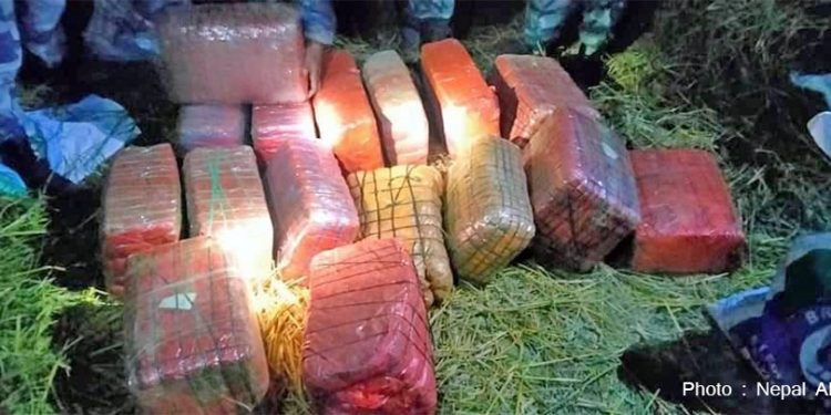 महोत्तरीबाट १६० केजी गाजा बरामद
