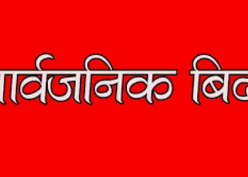 भोली सार्वजनिक विदा