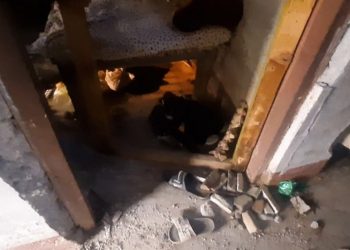 इटहरीमा बम विष्फोट हुँदा दुई जना घाइते