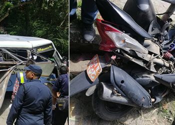 भक्तपुरमा रुख ढल्दा तीनजनाको मृत्यु