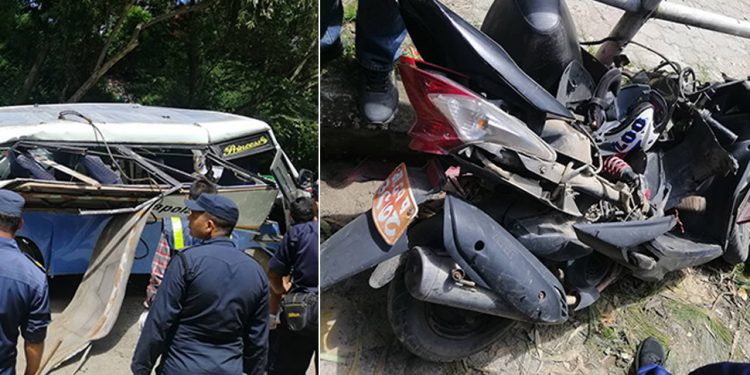 भक्तपुरमा रुख ढल्दा तीनजनाको मृत्यु