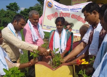 तुलसी रोपण गरिदै हर्षोल्लासका साथ हरिशयणी एकादशी मनाईयो