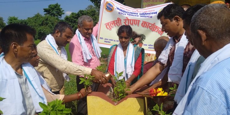 तुलसी रोपण गरिदै हर्षोल्लासका साथ हरिशयणी एकादशी मनाईयो
