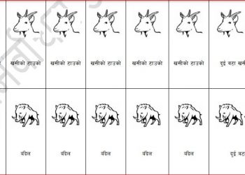 स्वतन्त्र उम्मेदवारले पाए चुनाव चिन्ह