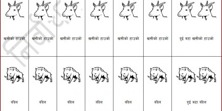 स्वतन्त्र उम्मेदवारले पाए चुनाव चिन्ह