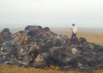 अज्ञात समूह द्वारा आगजनी लाखौँको क्षति