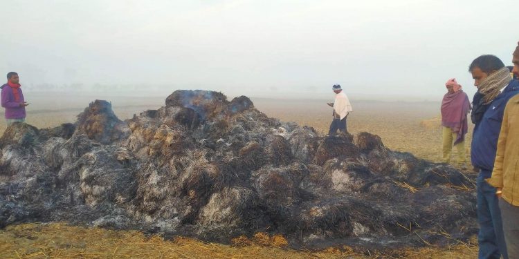 अज्ञात समूह द्वारा आगजनी लाखौँको क्षति