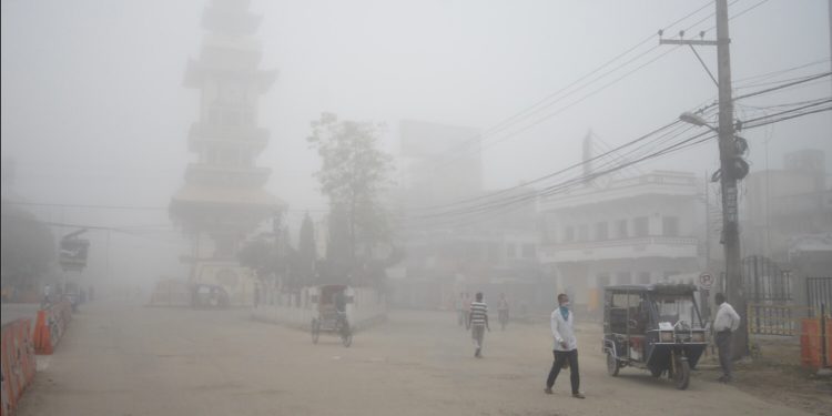 बाक्लो कुहिरोसँगै शितलहर शुरु