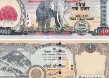 १ हजार र ५ सयको नोटको सिरिज बन्द गर्न सरकारलाई सुझाव