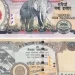 १ हजार र ५ सयको नोटको सिरिज बन्द गर्न सरकारलाई सुझाव