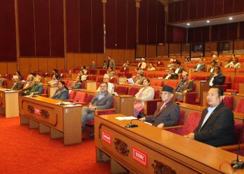 छातीभन्दा मुनिको कुनै पनि कपडामा राष्ट्रिय झन्डा प्रयोग गर्न नपाइने