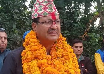 परराष्ट्रमन्त्रीमा एनपी साउद