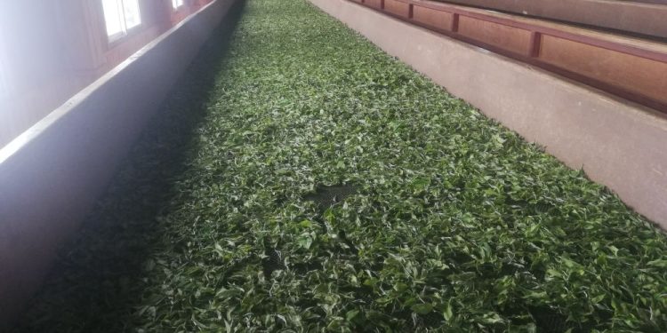 विधुत नियमित नहुँदा चियामा लाखौँको घाटा