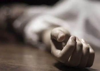उपमेयर चढ्ने गाडीले किचिएर १४ महिने बालिकाको मृत्यु